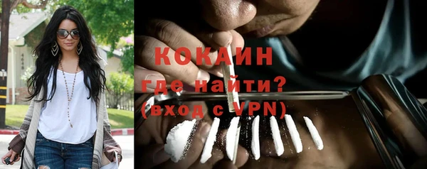 PSILOCYBIN Богородицк
