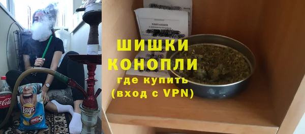 PSILOCYBIN Богородицк