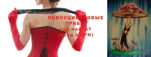 прущие крисы Богданович