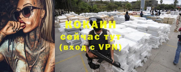 прущие крисы Богданович