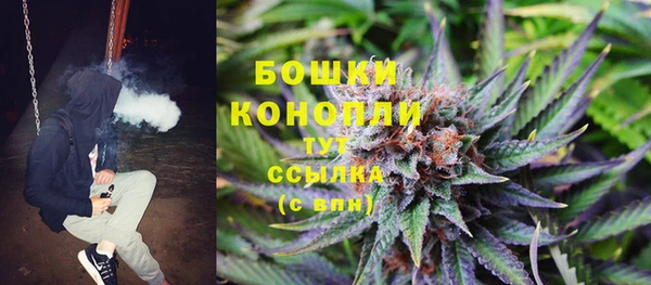 PSILOCYBIN Богородицк
