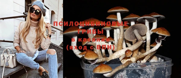 винт Богородск