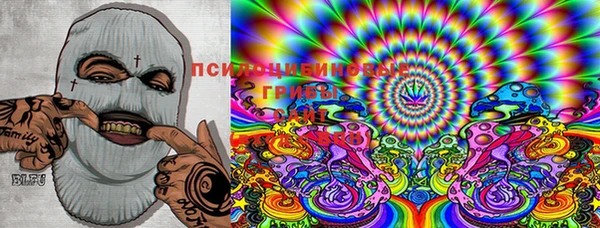 PSILOCYBIN Богородицк