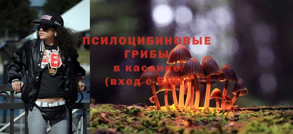 PSILOCYBIN Богородицк